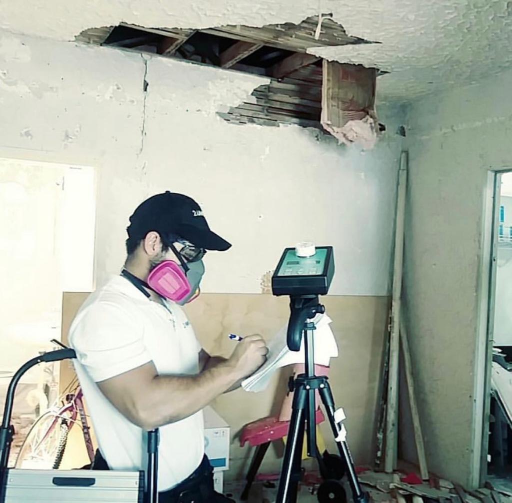 24 Hour Mold Solutions