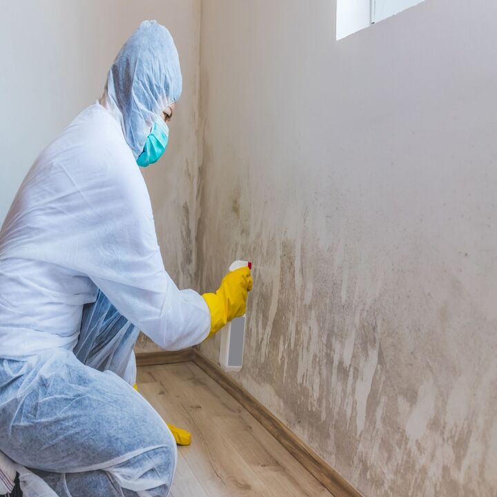 City Of Angels Mold Inspections