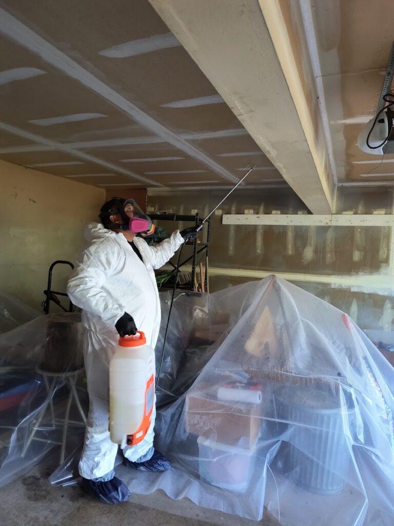 CT Mold Pros