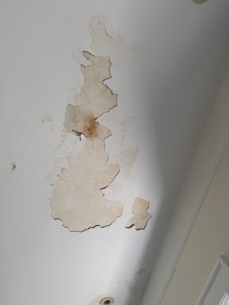 Fast Mold Testing – Fort Lauderdale