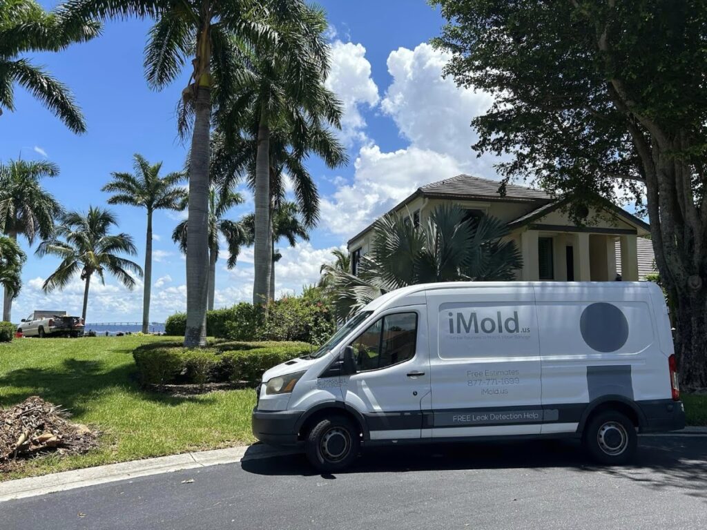 iMold Cleaning and Restoration – Water Damage and Mold Removal Specialists