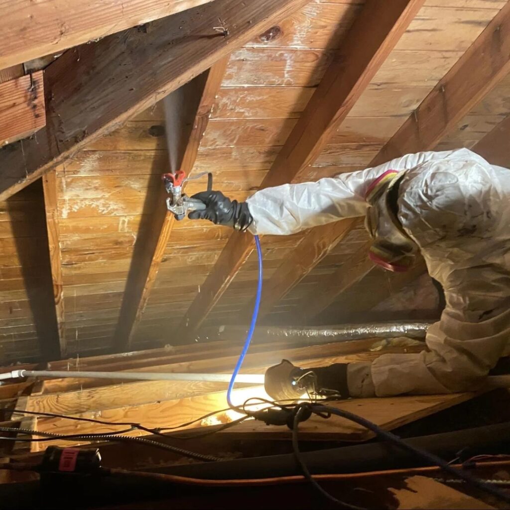 Mold Remediation Los Angeles
