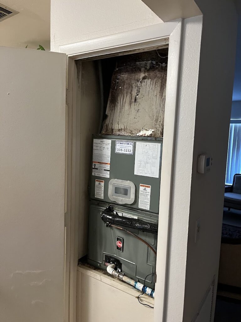 Mold Remediation Specialists