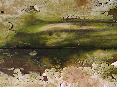 Progressive Mold Testing