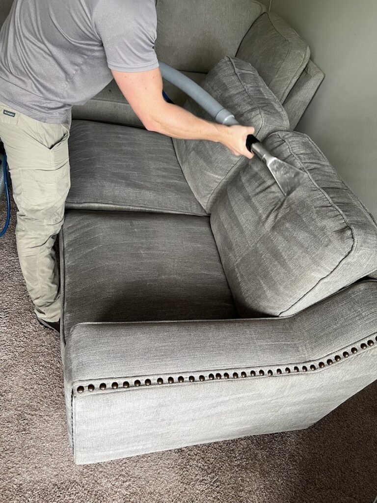 3B Mold Removal
