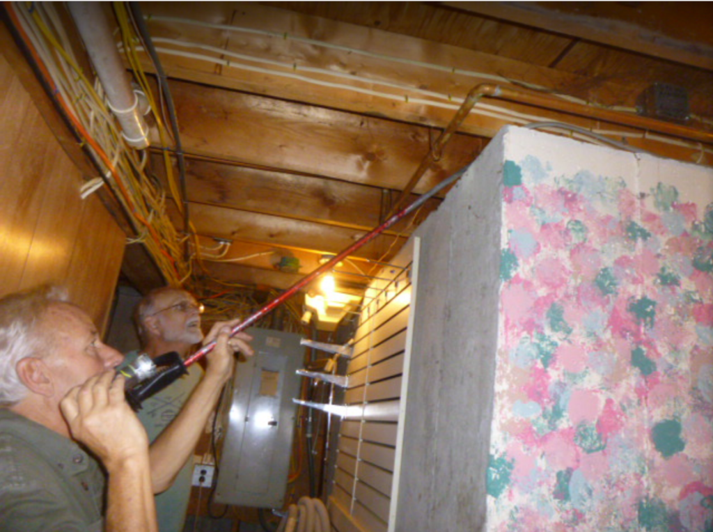 Alpha Building Inspections