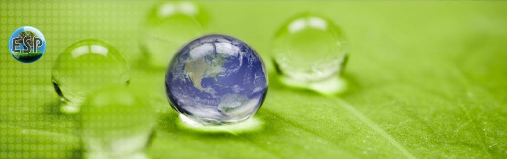 Environmental Services Provider