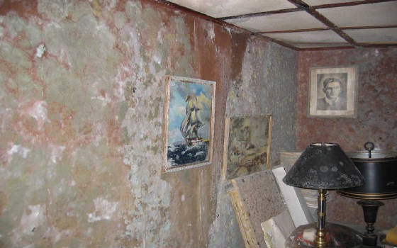 Envirotest Mold Asbestos Inspection
