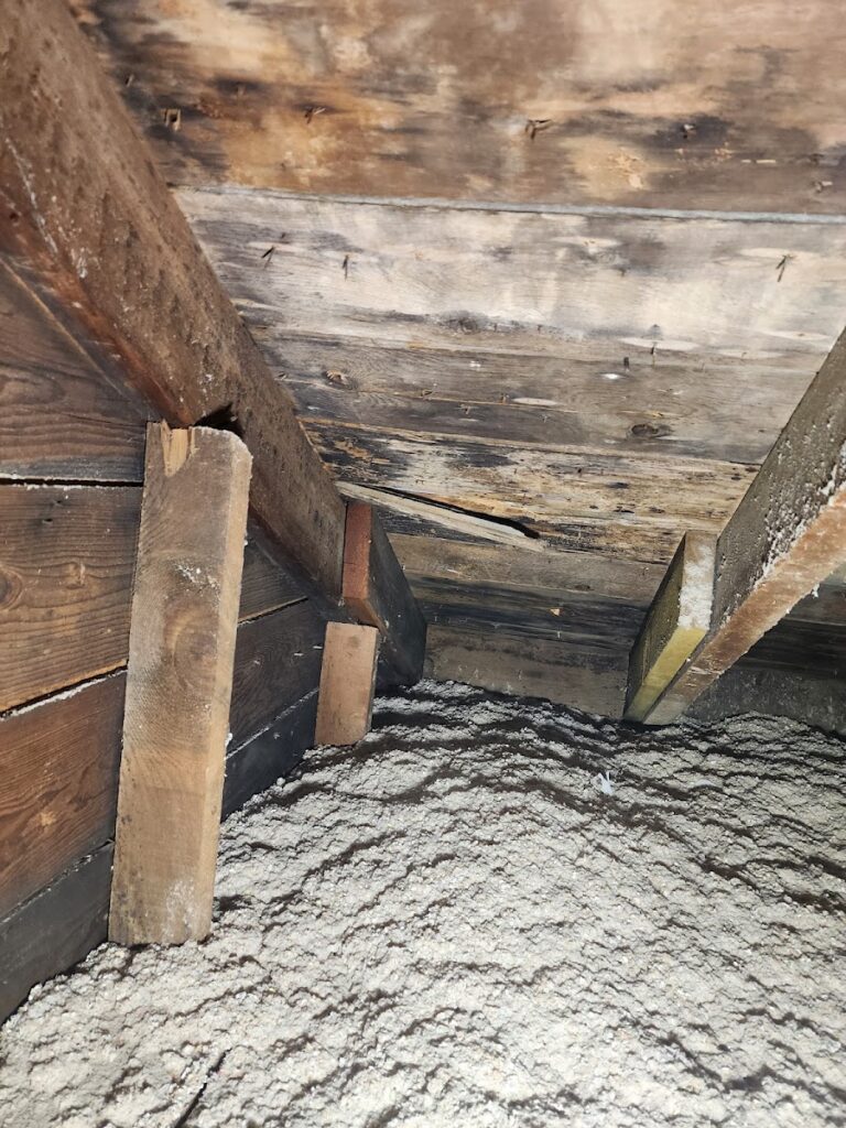 Hawthorne Restoration