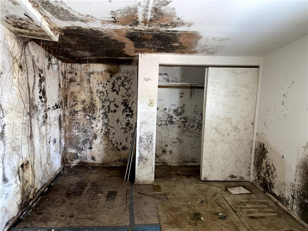 Jagoj Mold Remediation Shreveport