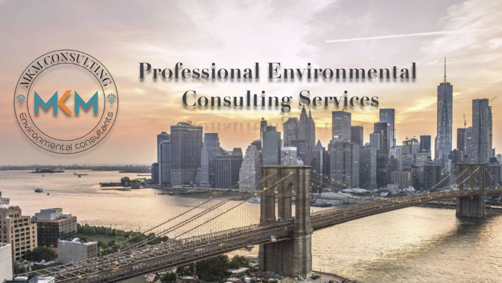 MKM Environmental Consulting