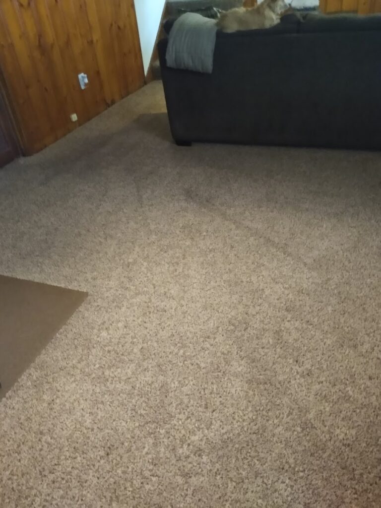 Pro Clean Cleaning & Restoration