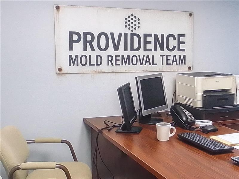 Providence Mold Removal Team