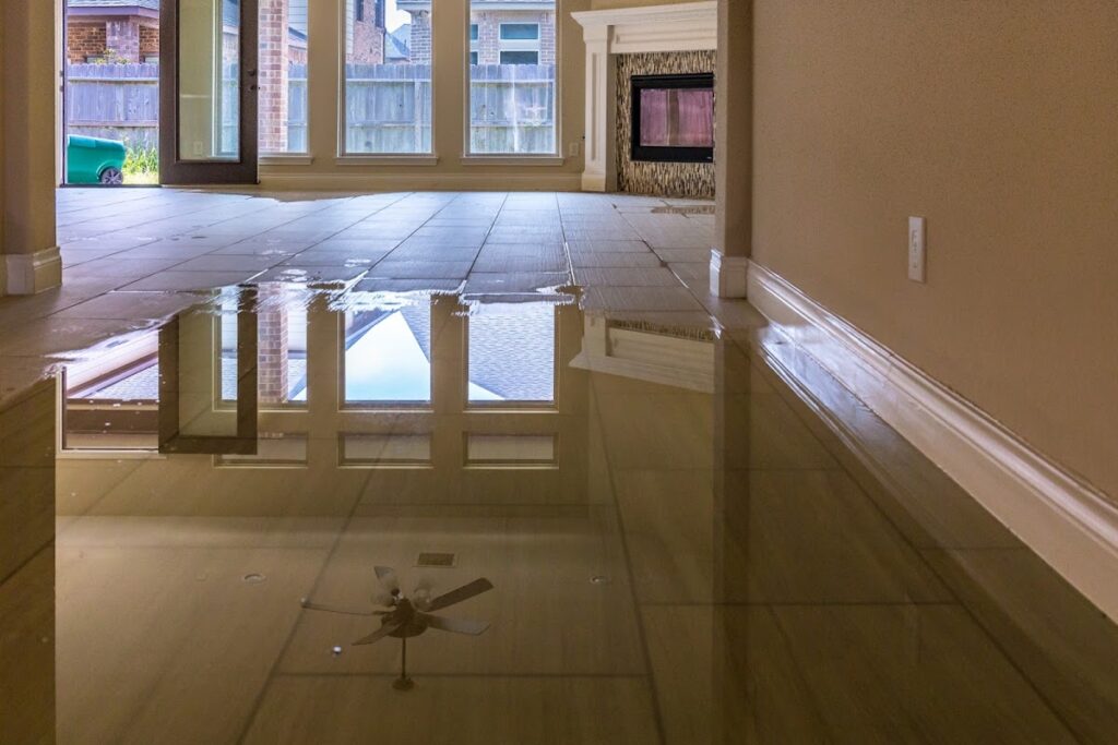The Mold Pros, LLC
