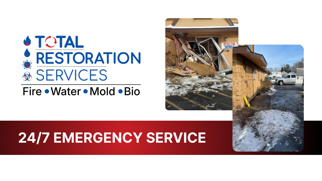 Total Restoration Services